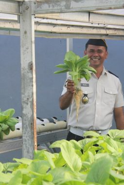 berita-rekomendasi-foto